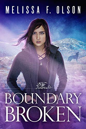 Boundary Broken book cover