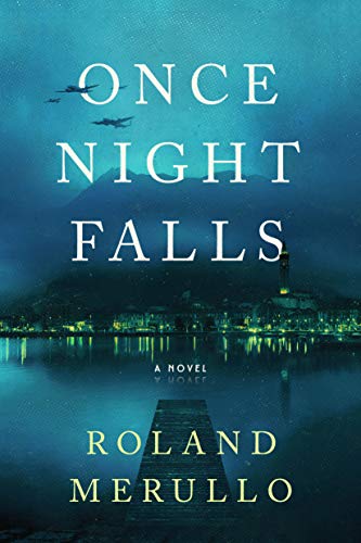 Once Night Falls book cover