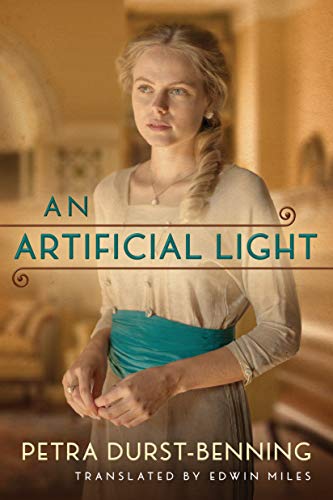 An Artificial Light book cover
