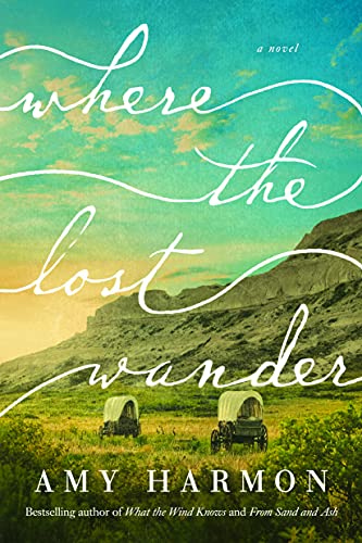 Where the Lost Wander book cover