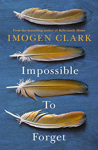 Impossible To Forget book cover