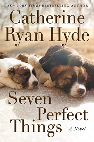 Seven Perfect Things book cover