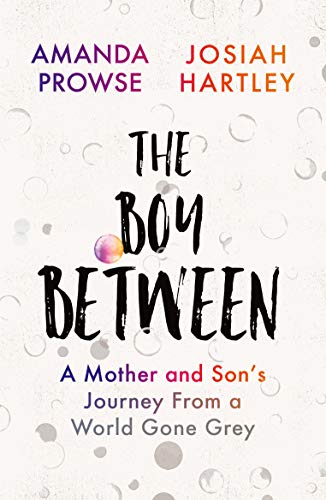 The Boy Between book cover