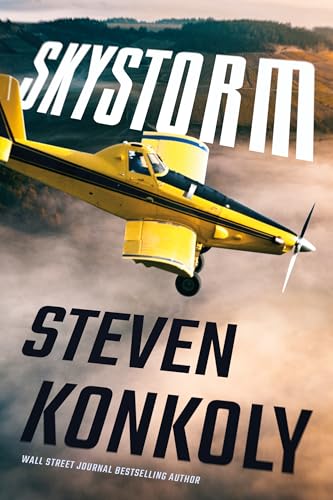 Skystorm book cover