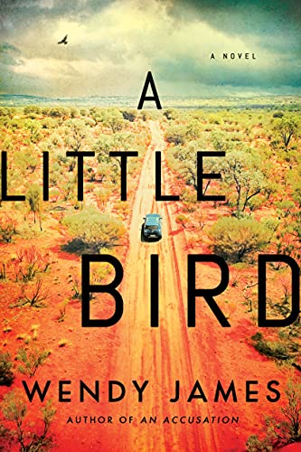 A Little Bird book cover