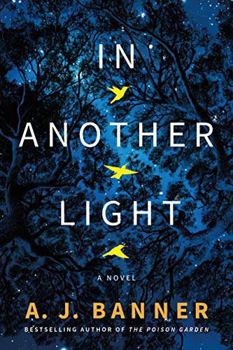 In Another Light book cover