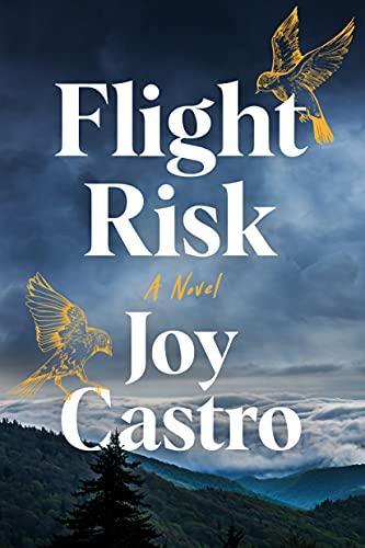Flight Risk book cover