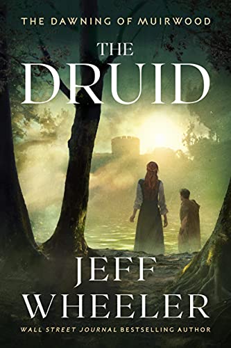The Druid book cover