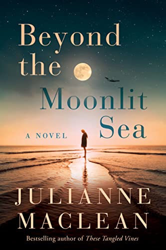 Beyond the Moonlit Sea book cover