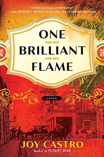 One Brilliant Flame cover