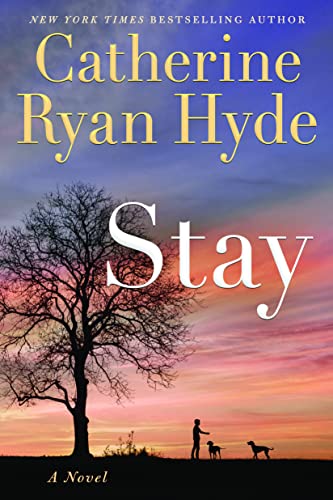 Stay book cover