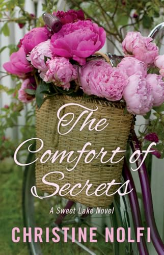 The Comfort of Secrets cover