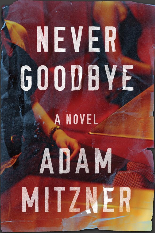 Never Goodbye book cover
