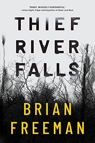 Thief River Falls book cover