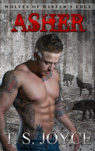 Asher book cover
