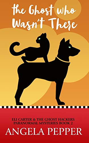 The Ghost Who Wasn't There book cover