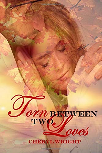 Torn Between Two Loves book cover