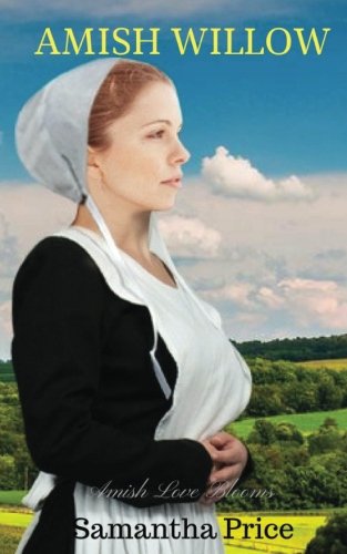 Amish Willow book cover