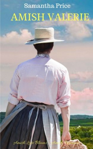 Amish Valerie book cover