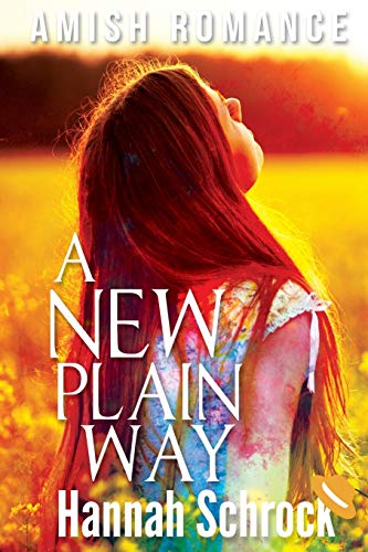 A New Plain Way book cover