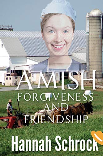 Amish Forgiveness And Friendship book cover