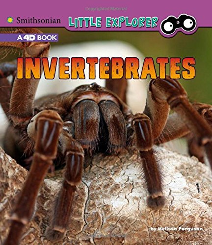 Cover of Invertebrates