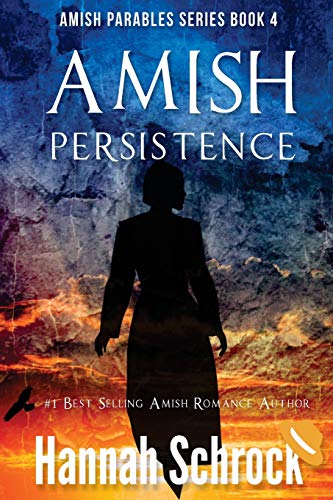 Amish Persistence book cover