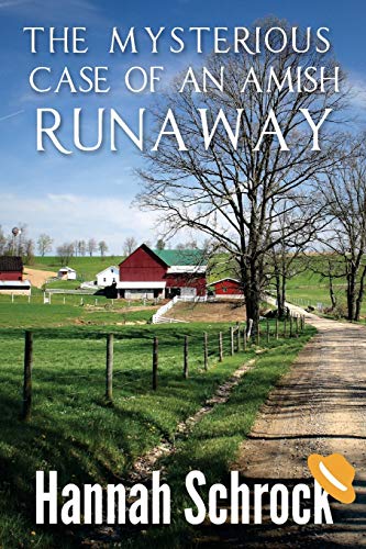 The Mysterious Case Of An Amish Runaway book cover