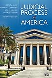 Judicial Process In America