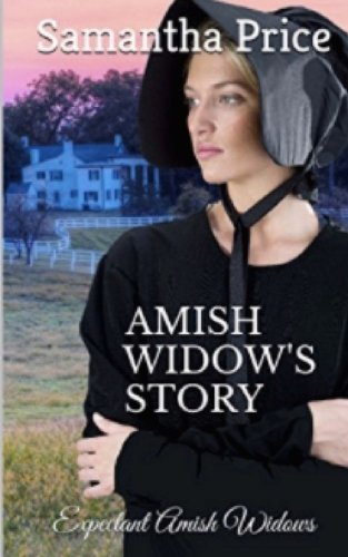 Amish Widow's Story book cover
