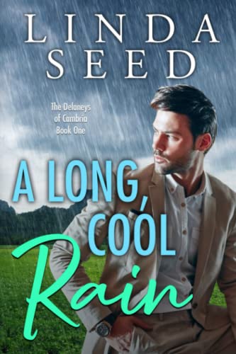 A Long, Cool Rain book cover