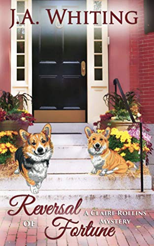 Reversal of Fortune book cover