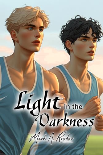 Light in the Darkness book cover