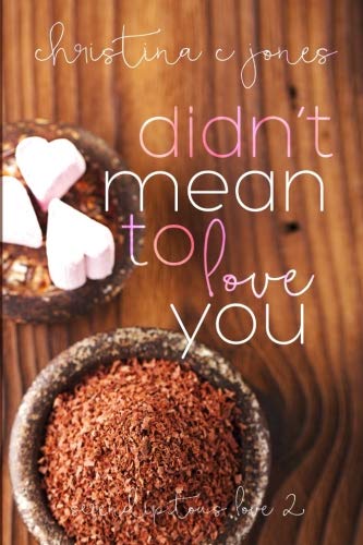 Didn't Mean To Love You book cover