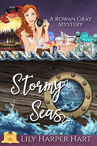 Stormy Seas book cover