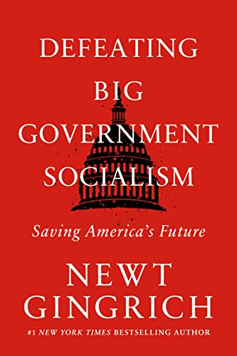 Defeating Big Government Socialism: Saving America's Future book cover