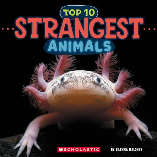 Cover of Strangest Animals (Wild World: Top 10)