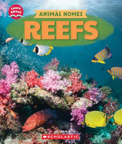 Reefs / by Leslie, Jay