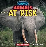 Amazon cover image