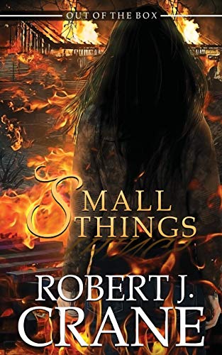 Small Things book cover