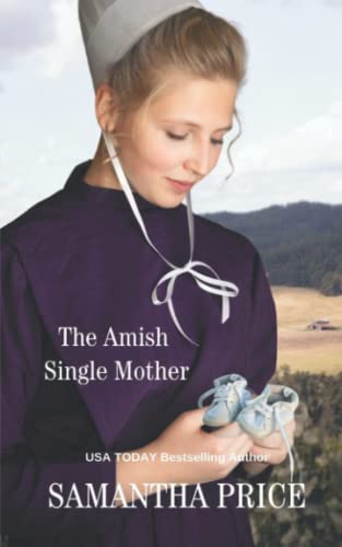 The Amish Single Mother cover