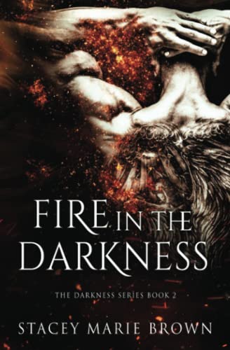 Fire in the Darkness book cover