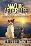 The Amazing Afterlife Of Animals Messages And Signs From Our Pets On The Other Side
