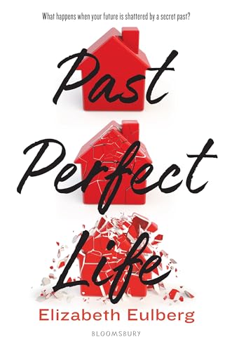 Past Perfect Life book cover