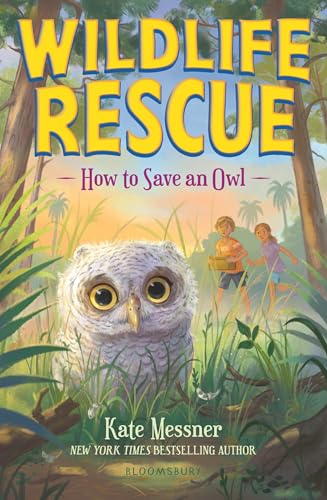 How to Save an Owl cover