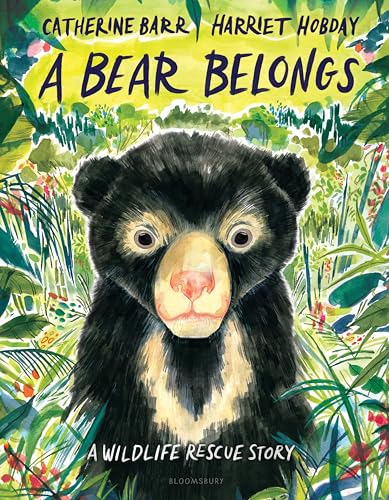 A Bear Belongs : by Barr, Catherine