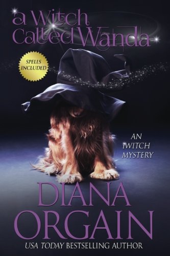 A Witch Called Wanda book cover