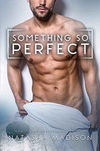 Something So Perfect book cover