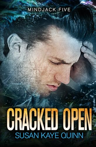 Cracked Open book cover