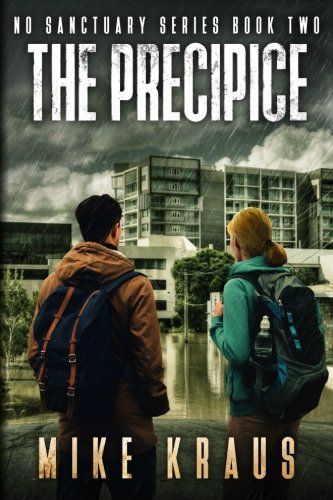 The Precipice book cover